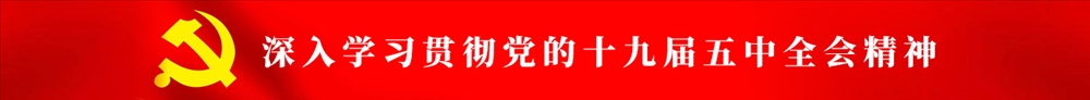 学习贯彻党的十九届五中全会精神
