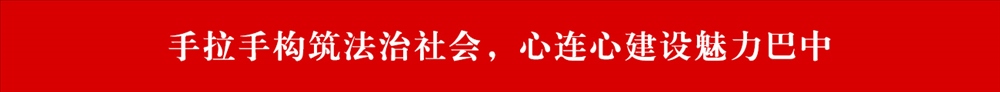 法治社会