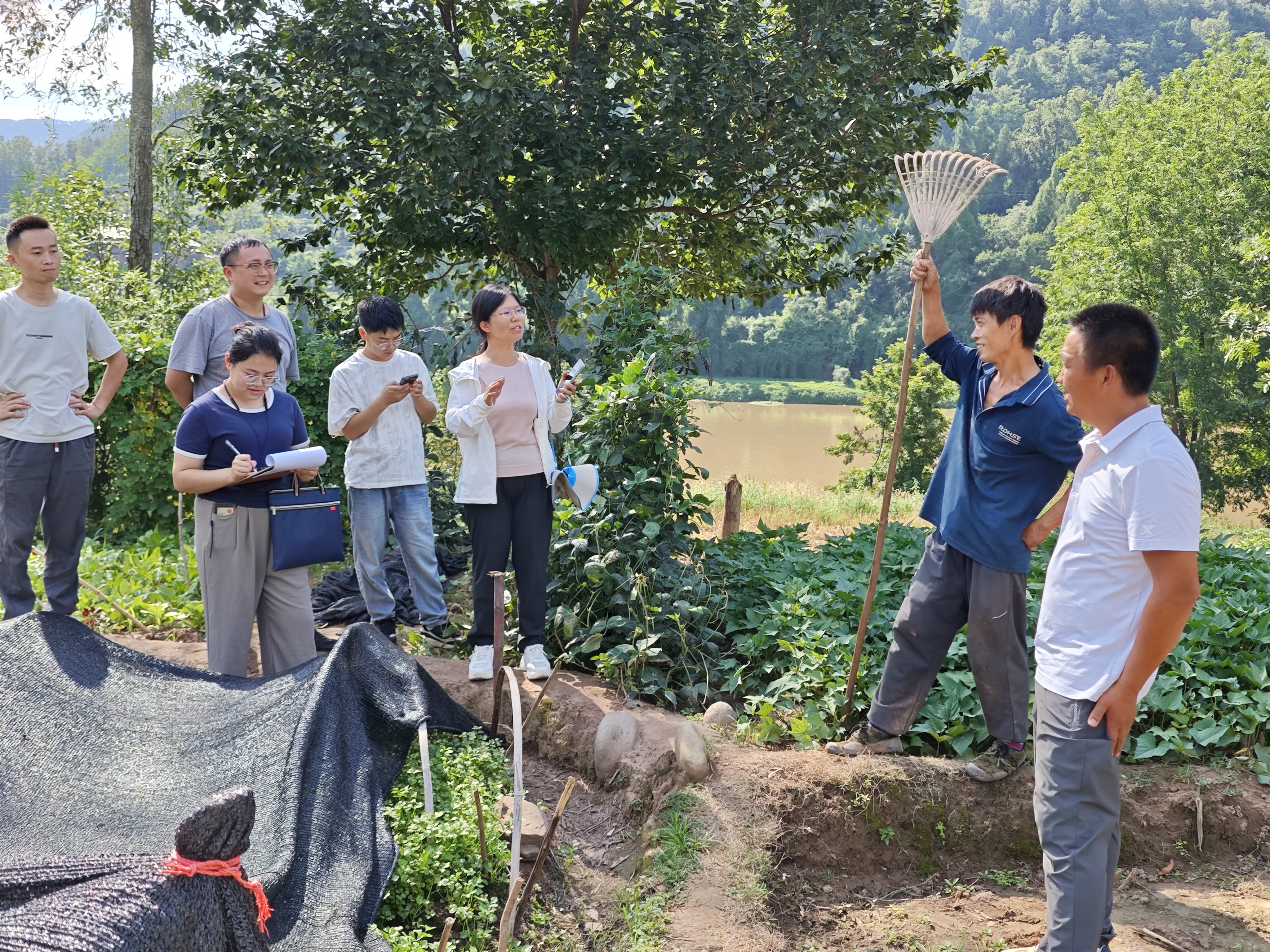 科技下乡万里行蔬菜服务团 赴巴州区开展本地小芹菜生产技术服务